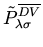$\displaystyle {\tilde P}_{\lambda \sigma}^{\overline{DV}}$