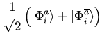 $\displaystyle \frac{1}{\sqrt{2}}
\left(
\vert \Phi_i^a \rangle + \vert \Phi_{\overline{i}}^{\overline{a}} \rangle
\right)$