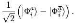 $\displaystyle \frac{1}{\sqrt{2}}
\left(
\vert \Phi_i^a \rangle - \vert \Phi_{\overline{i}}^{\overline{a}} \rangle
\right).$