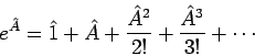 \begin{displaymath}
e^{\hat{A}} = \hat{1} + \hat{A} + \frac{\hat{A}^2}{2!} +
\frac{\hat{A}^3}{3!} + \cdots
\end{displaymath}